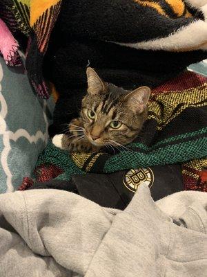 photo of Maryellen W.