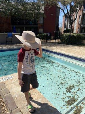 Photo of Champagnepauly