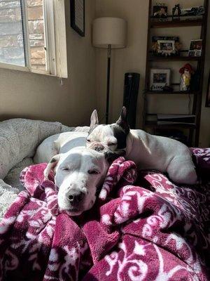 Photo of Stephanie J.