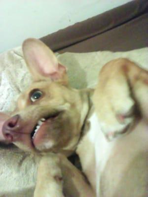 photo of Jonathan R.