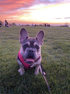 photo of Jocelynn D.