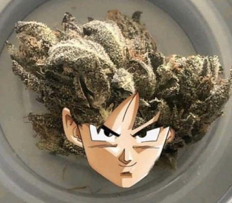 Photo of Bongwater J.