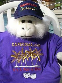 Photo of Sam D.