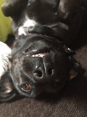 photo of Danyelle W.