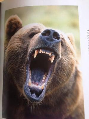 photo of Mary Ann M.