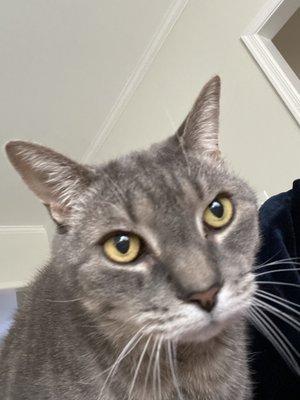 Photo of Scarlett L.