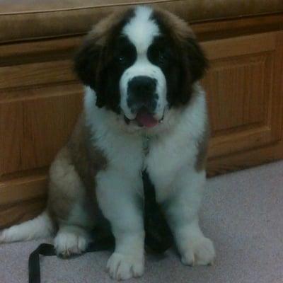 photo of Kimberly B.