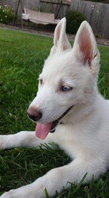 photo of Adrianna P.