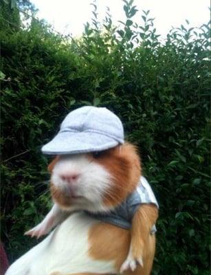 photo of Genevieve A.