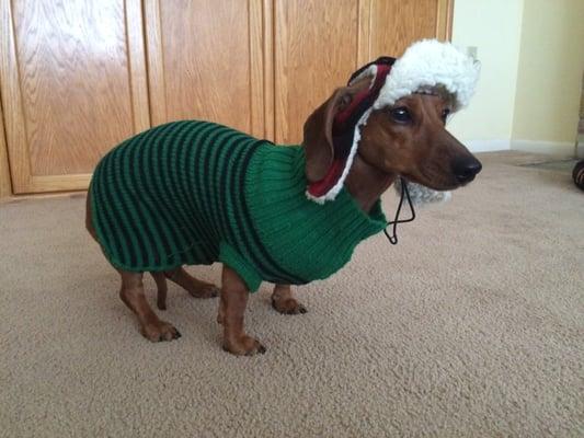 photo of Caroline D.