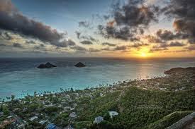 photo of Priscilla T.