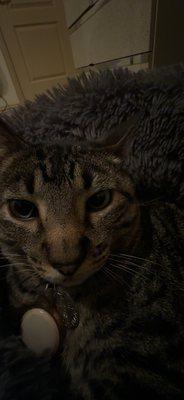 photo of Precious W.