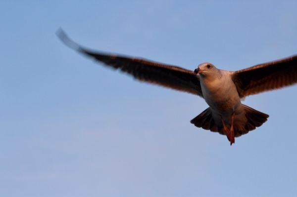 photo of Jennifer C.