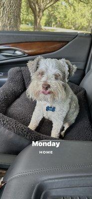 photo of Stephanie H.