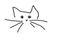 photo of Danielle B.