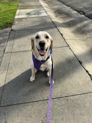 photo of Macy R.