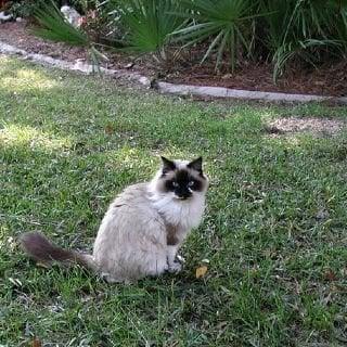 Photo of Cherie S.
