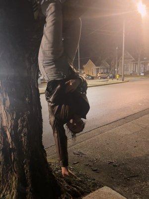 Photo of Lyndsey K.