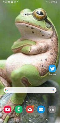 photo of kathleen r.