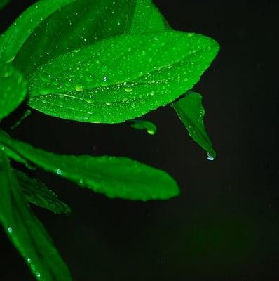 photo of Kimberly M.