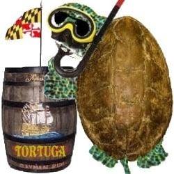 photo of Testudo T.