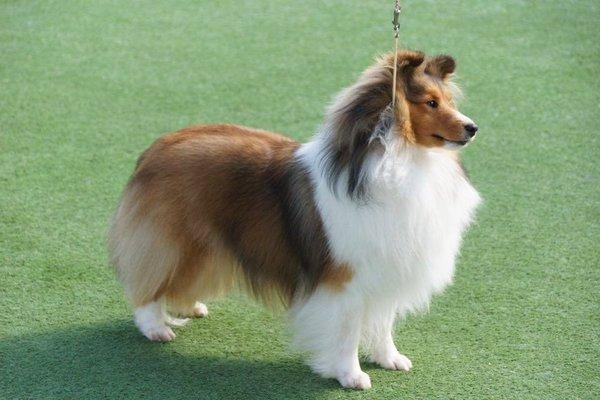 photo of BellaRose S.