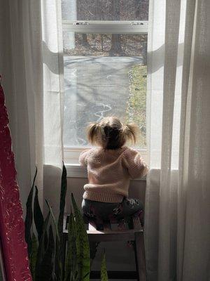 photo of Amanda D.