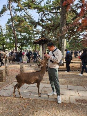 Photo of Hyunjae J.