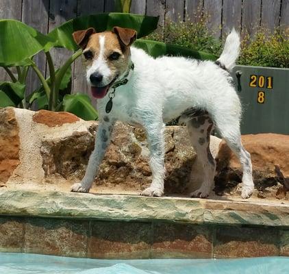 Photo of Texas Dude X.