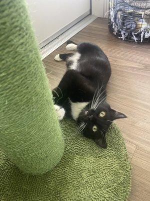 photo of Samantha M.