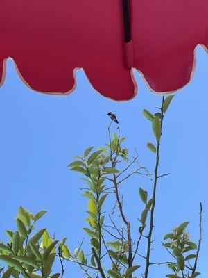 photo of Chatchanit S.