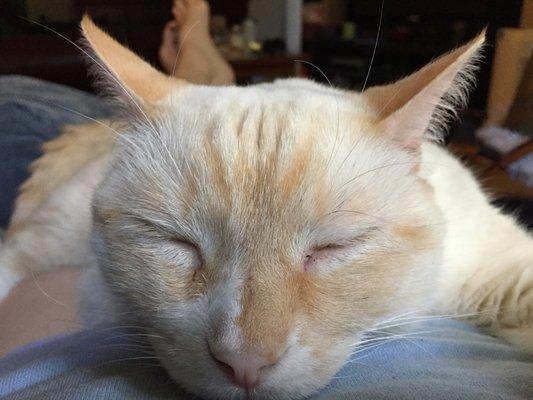 photo of Priscilla H.