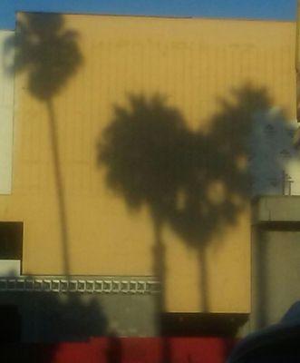 Photo of Yesenia C.