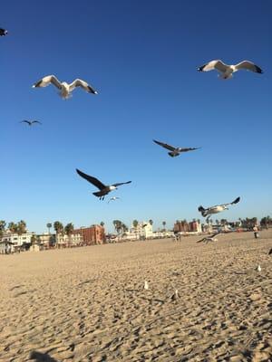 Photo of Yesenia M.