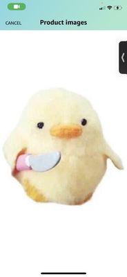 photo of Polaroid C.