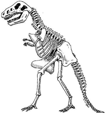 Photo of B A.
