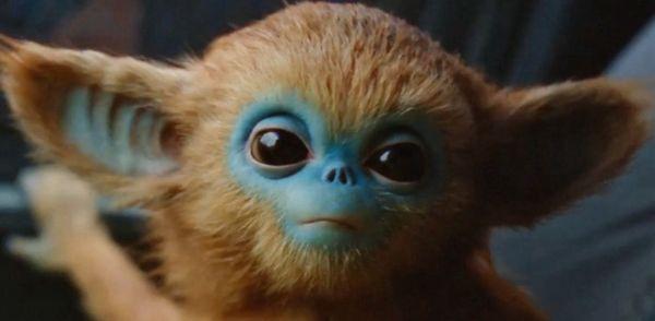 photo of Spartachris