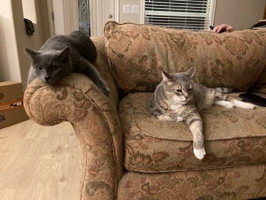 photo of Michelle R.