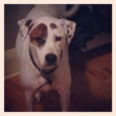 photo of Jennifer M.