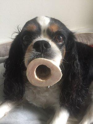 photo of Francesca L.