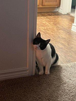 photo of Ray-Chill K.