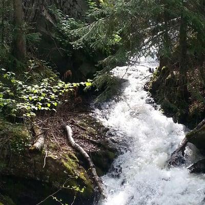 photo of Christina V.