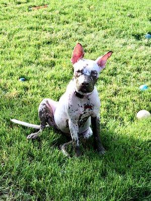 photo of Jon-David B.