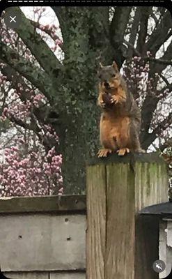 photo of Nannette B.