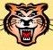 Photo of Tiger M.