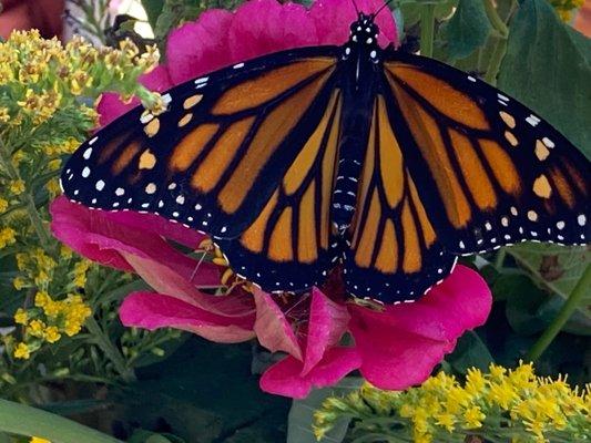 photo of Stephanie U.