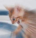 photo of Savannah D.