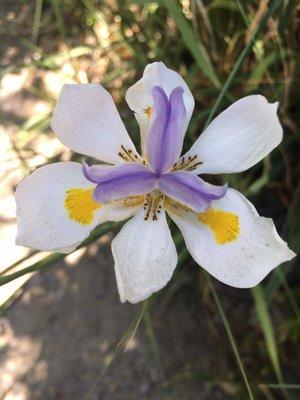 photo of Kristina C.