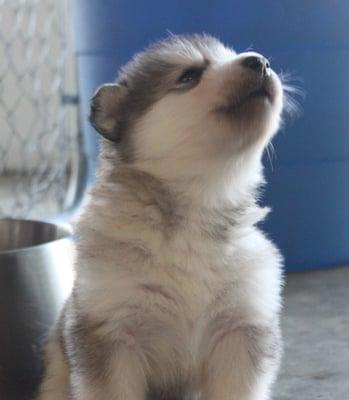 photo of Benjamin N.