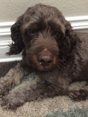 photo of Jennifer C.